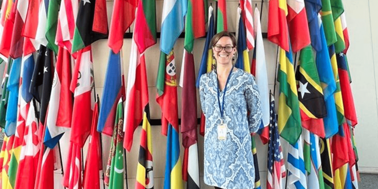 In this photo, Maria-Christine Mautner is stending in front of Vienna UN's quarters wall of Member States' flags. She's wearing a long blouse with a damascus blue pattern on top of a white background. She's smiling.